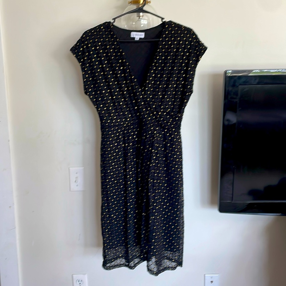 Luxology Medium excellent condition